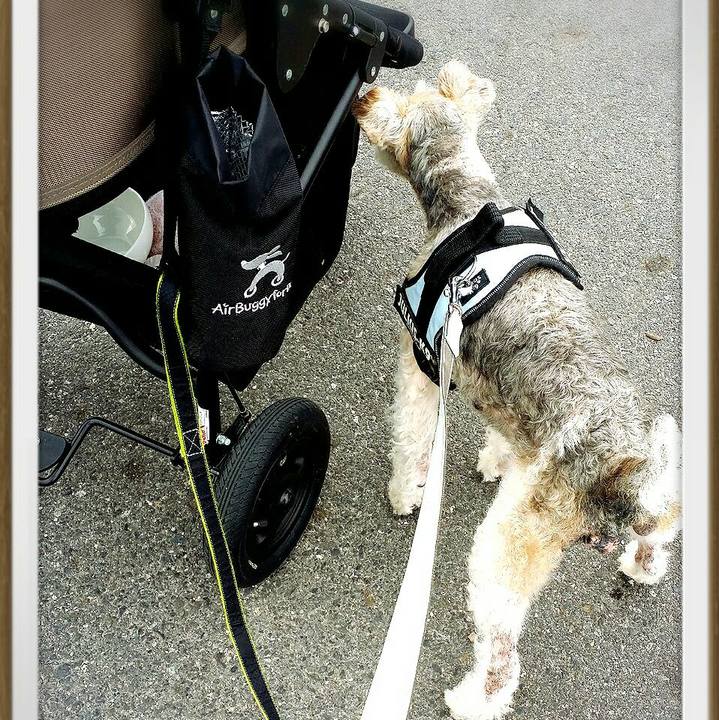 41684853 8e41 4932 9501 ffc099a569ba