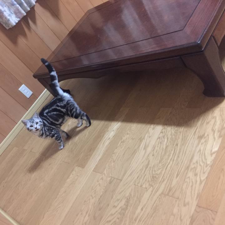 416924b1 b4c0 42d3 b8a1 a18a3ab961bf