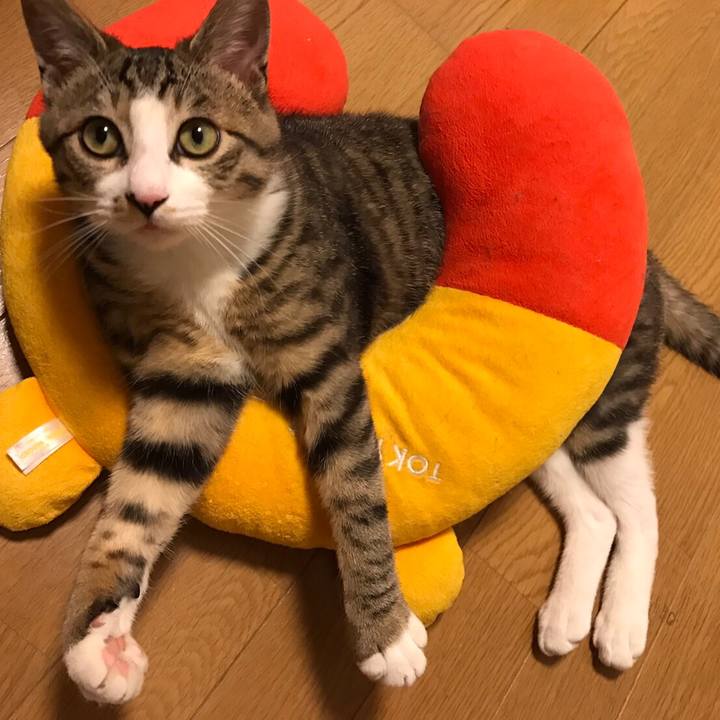 416935da df73 4fa5 b640 b7e74a67cacb