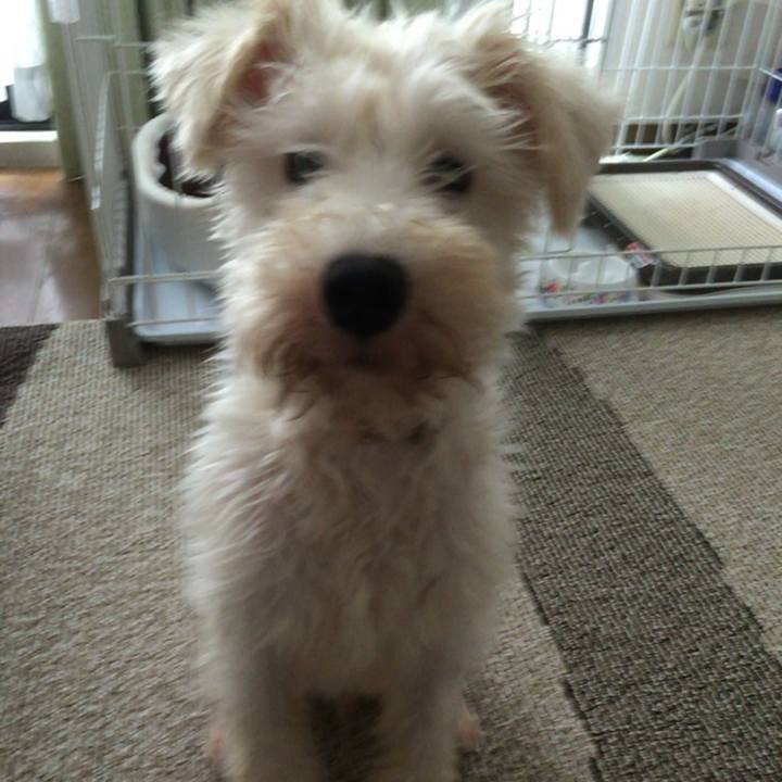 41694d39 28db 4576 a954 be6fb0710d54