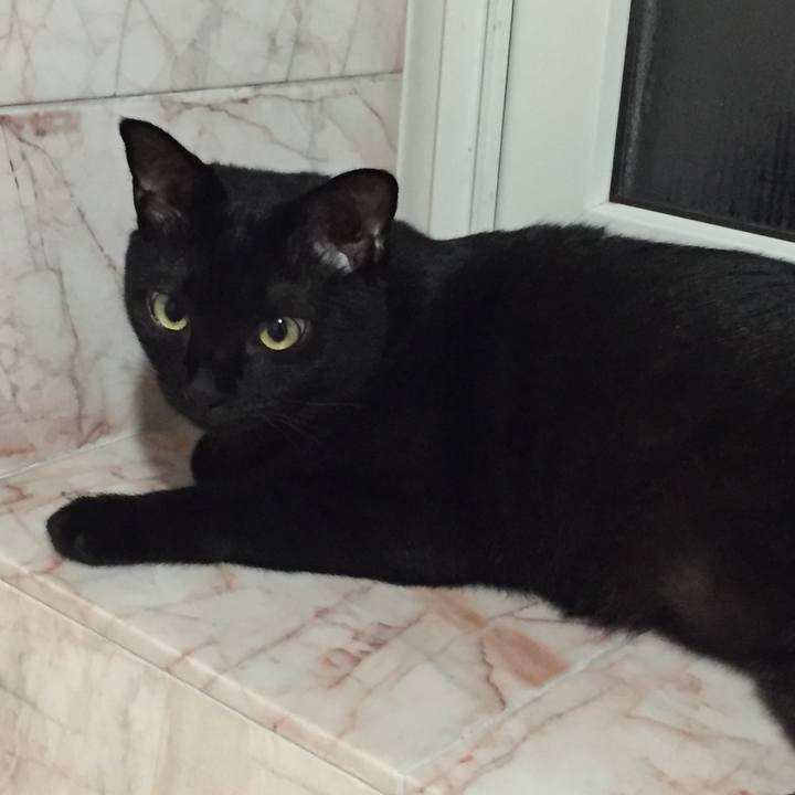 4169c793 302a 4ecb a1c5 c5bdc57b78d4