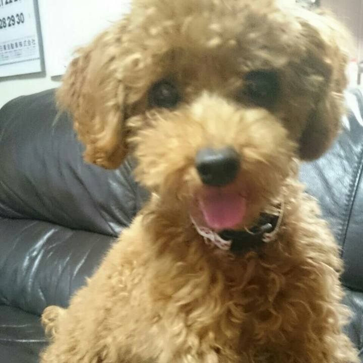 4169f115 3981 4d76 a8bb 46a55d396366