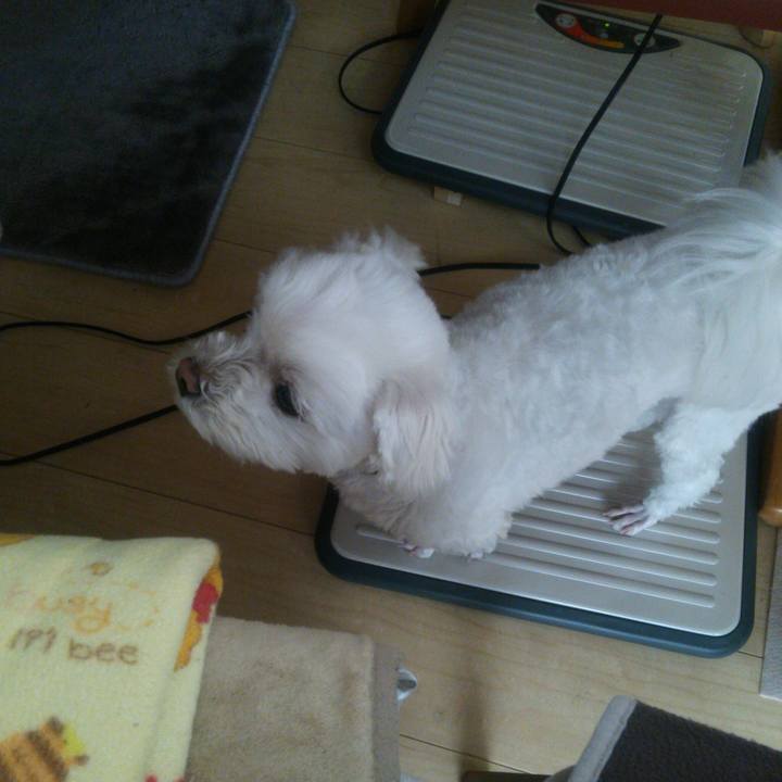 416a0e10 b103 4d45 a3cc 69e5f3bf8203