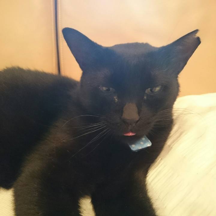 416a33f4 27a6 44f1 89f3 1b4d080f8488