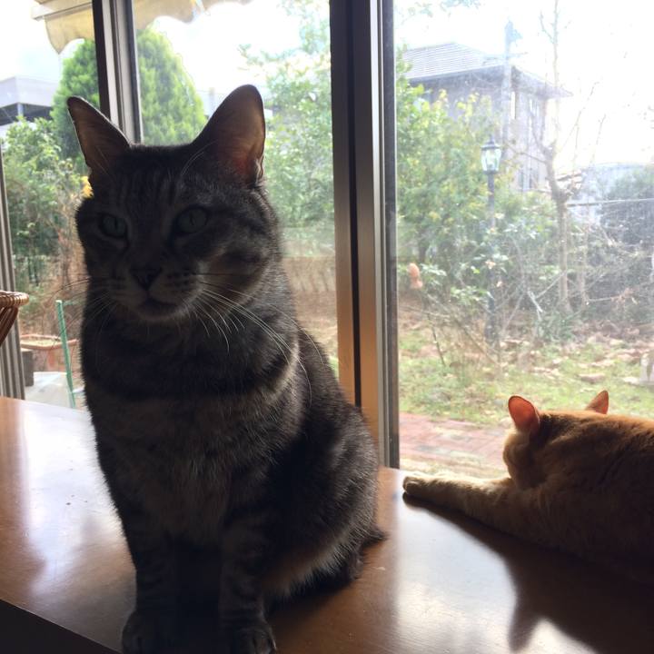 416a3cd7 9b18 4347 9b17 f01a068b15c5