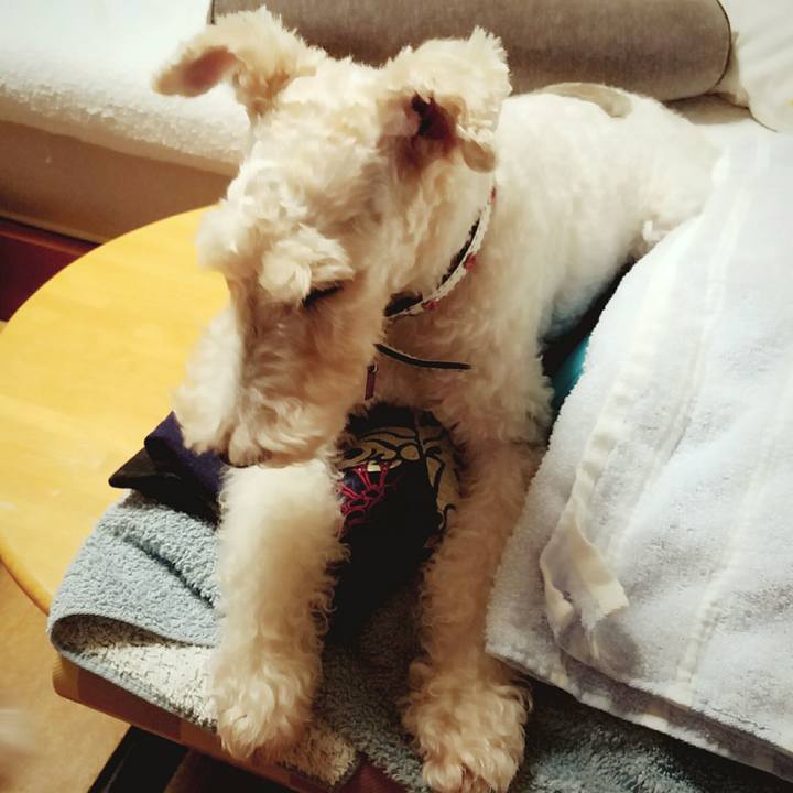 416aa379 8984 42c3 b08b 00d443cf1a9c