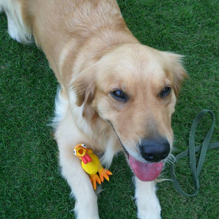 416b4627 5476 4a4d b9c4 2276903fe4c9