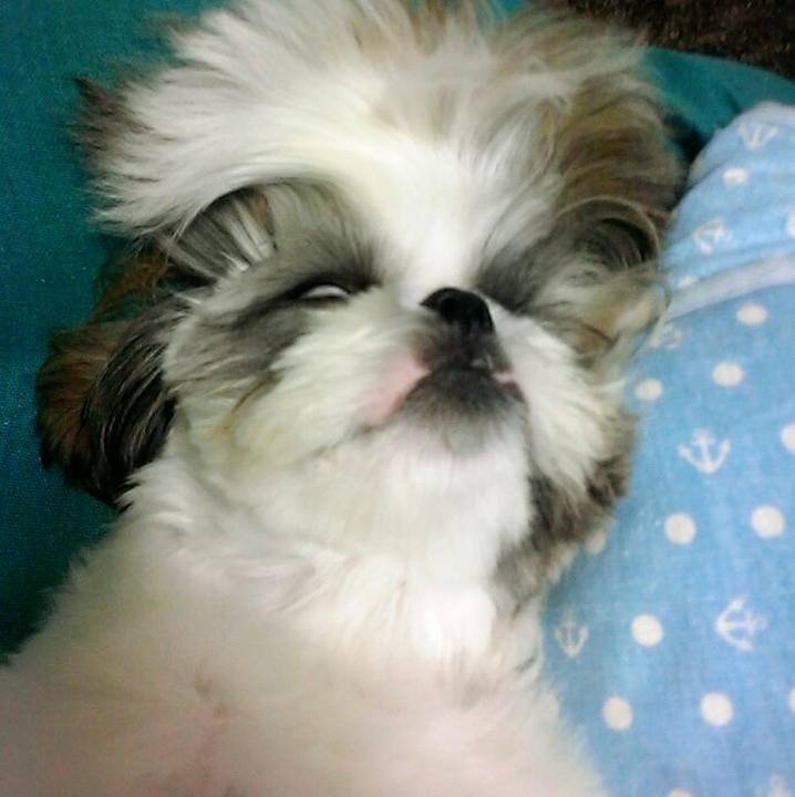 416b88ae 3e8c 40c7 9dff d368134dd7e2