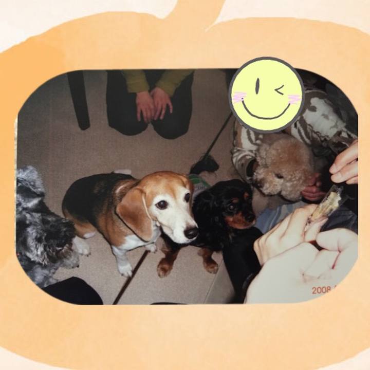 416bf093 b964 4ca7 96d7 6e1167a1014d