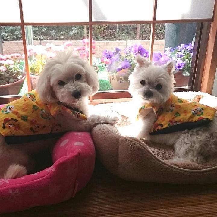 416c0c9c 482c 4e3d a98e a470914d4a4a