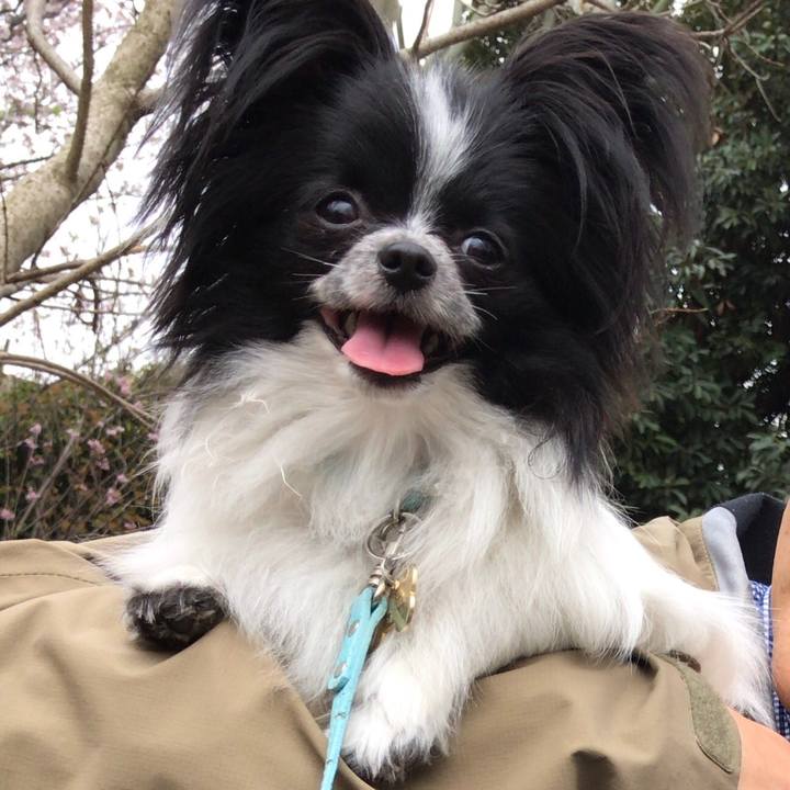 416cc958 3ebc 4485 9925 0e4f5f9ae488