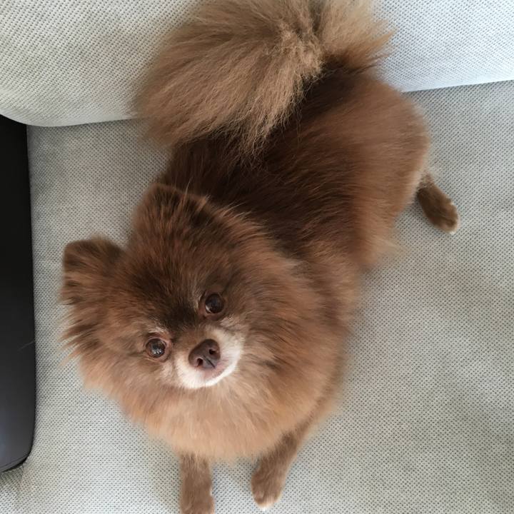 416ce51e 3218 4855 9775 284f875821ff