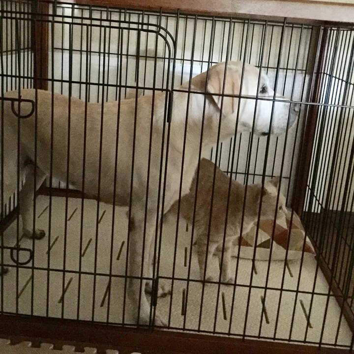 416d6ba3 0975 4864 bc5c 50602329df04