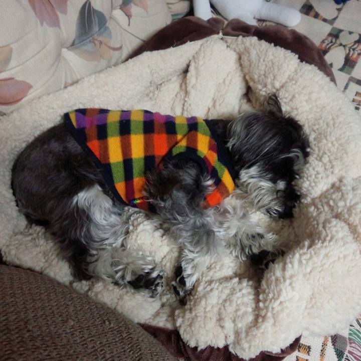 416d9fe0 8d3e 4321 83d4 f775500a3f95