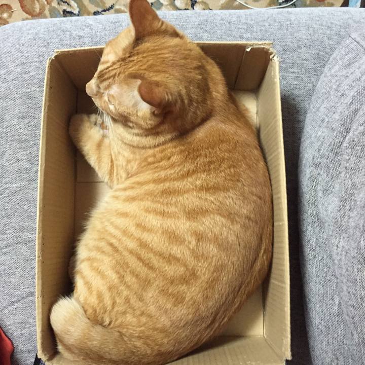 416dffb1 2d84 4552 9577 28f2c5d5a5a0