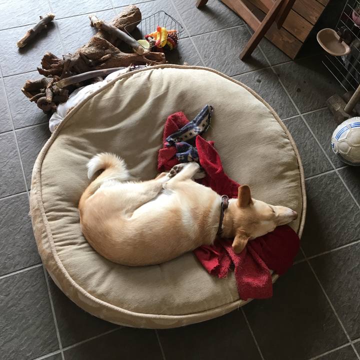 416e0d80 e2bf 4da1 a506 d06c591a62f8