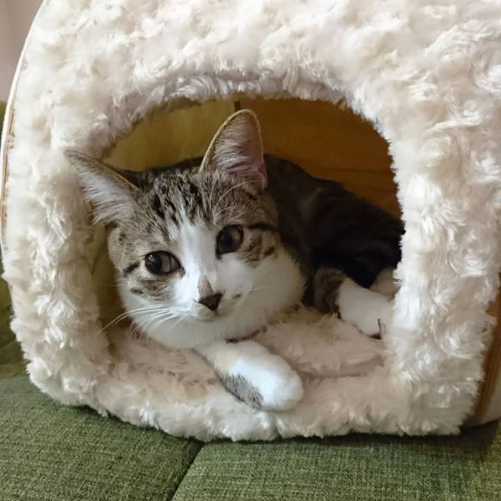 416e2127 3f71 42ae 9636 c3c770e1d93a