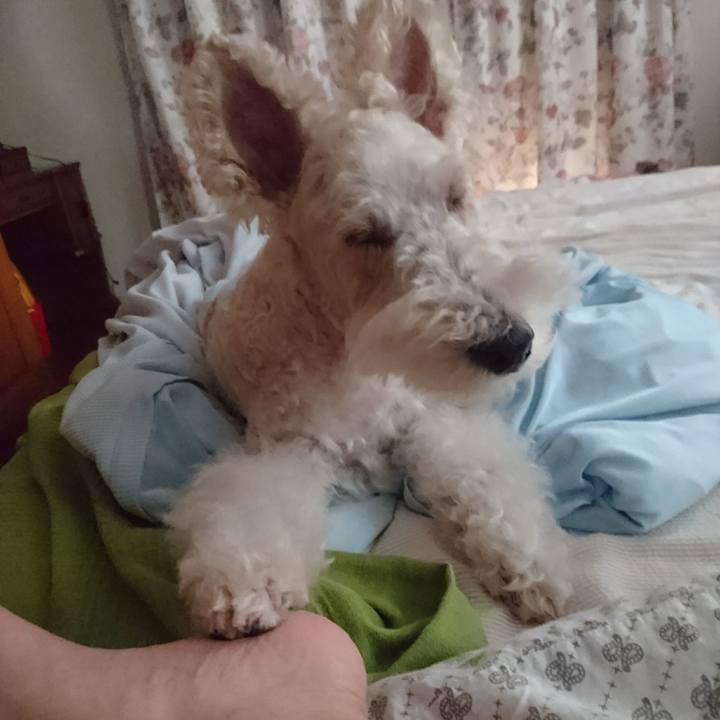 416e78f4 0434 49b9 bdf5 11fe03ff566e