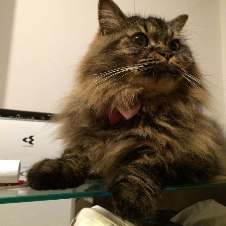 416ec7ff 9717 4978 b4d3 e8357b4080b9