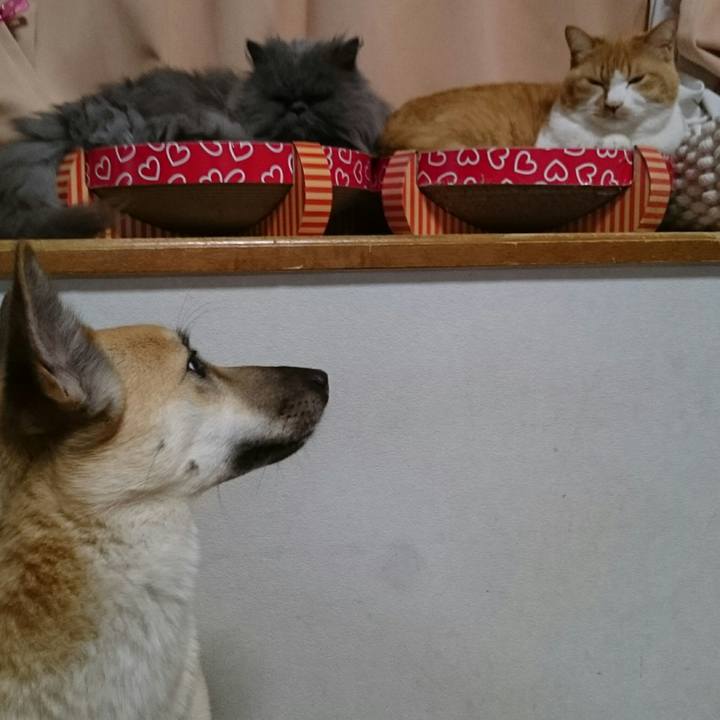 416f2ee3 efde 4694 b4ba f66bf3f7d8b4