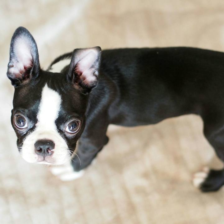 416f318f bd91 4485 94bb 19b93db5a933