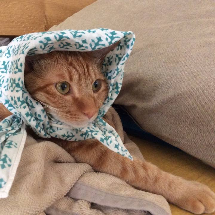 416fb56c f1ec 4ec6 a48c e7fb63cc958e