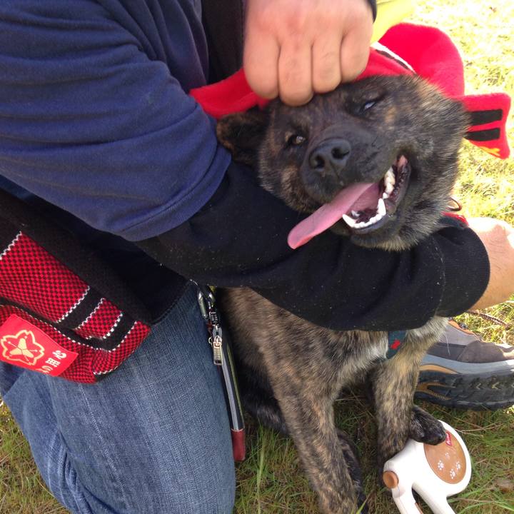 416fc461 3d32 4a40 9414 71b3ab792779