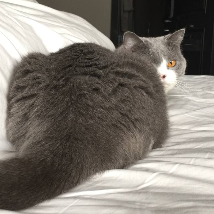 41701e9e 4536 4cc9 a2b3 3285191f7f5e