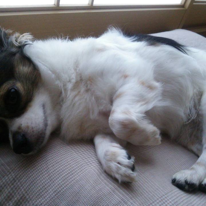 4170df28 54ad 4b4f a7fd 76ced4ec89ce