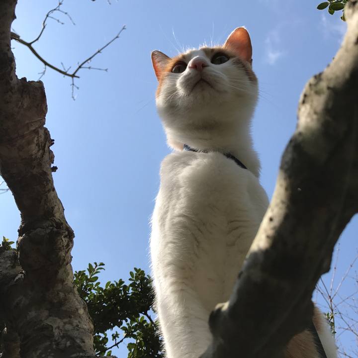 4170e3de 8986 42dc 8175 d471bca92512