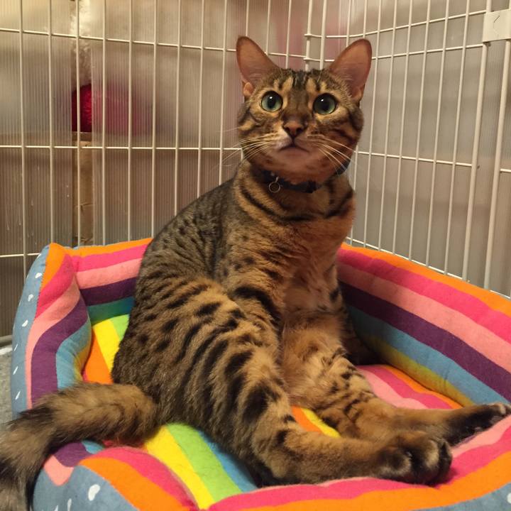 41718493 525f 4155 8ee6 a99bcf17f26f