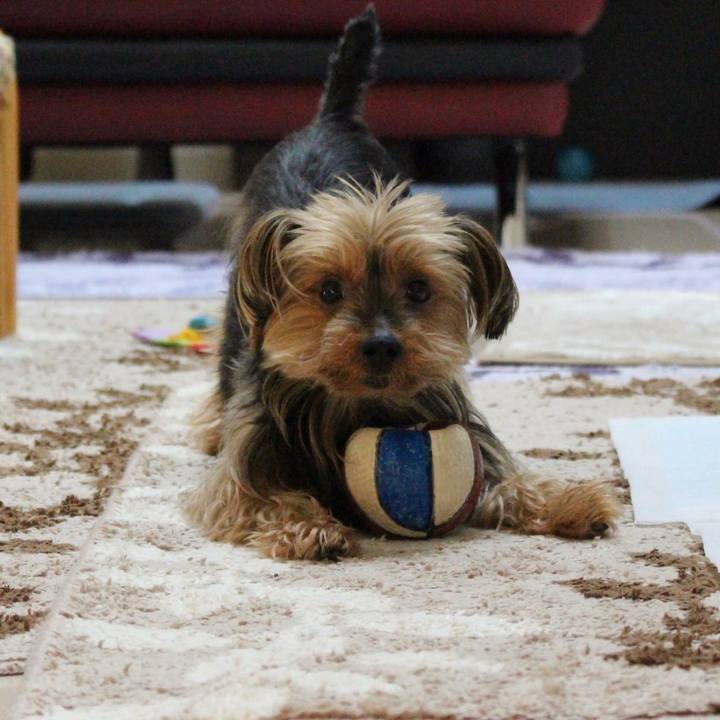 41720295 cc5e 43a0 8122 26b687e4467f