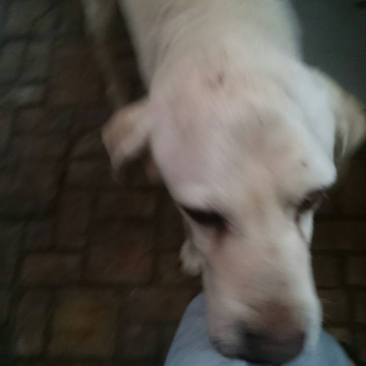 41724fcb 5803 444f b0f1 fa46b9f5cfce