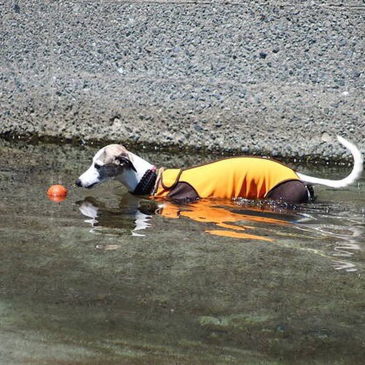 4172cf72 7df1 44f8 9bc7 2ba84fbf9869