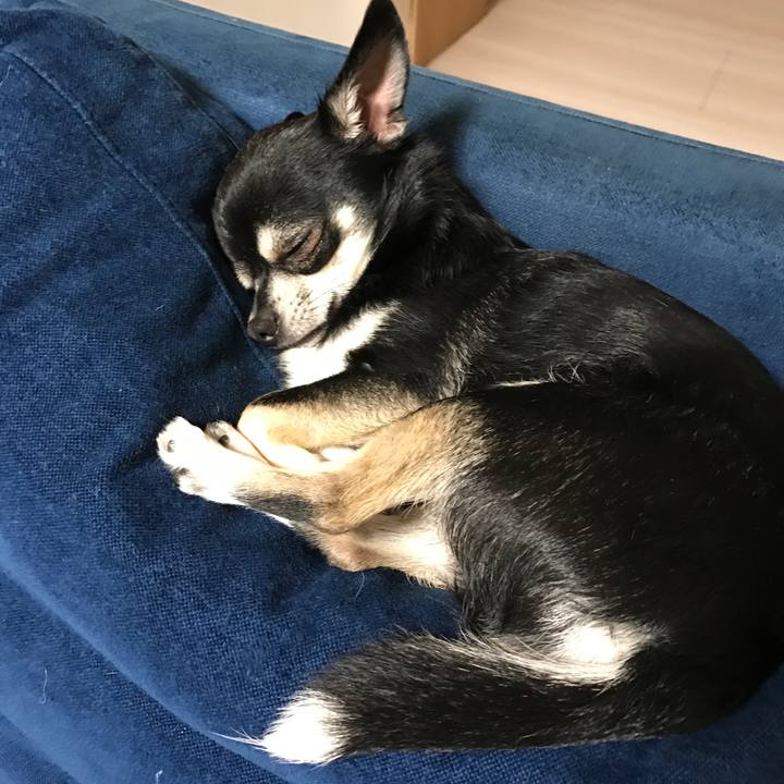 41733ed5 3f33 427f 9f20 a2b9106feb1a