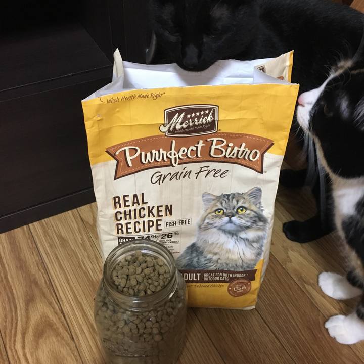 4173628a 1d12 42a3 8f0a 54bf5c6d0be8