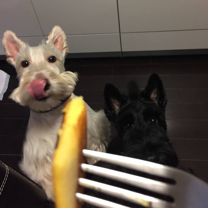 41738930 6c53 4417 963e 28fe7f1e84b1