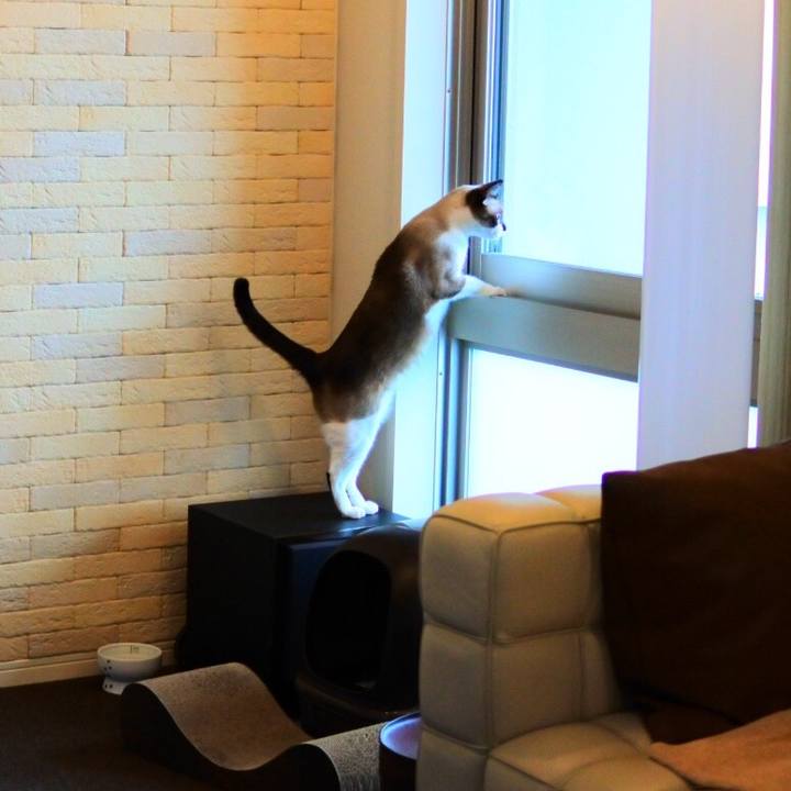 4173fe80 8128 4990 b315 44c7fceb89c2