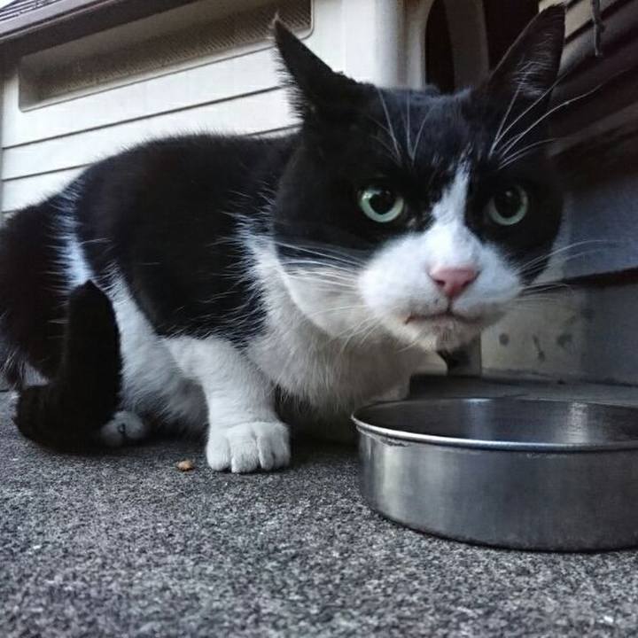 41745160 888a 486b 88df 8c01a74912d2