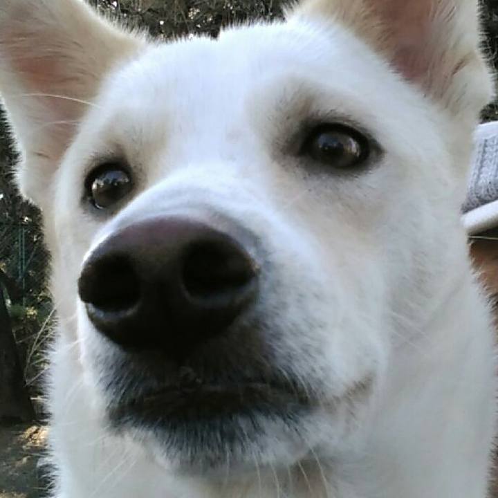 417482b8 00f3 4b41 ab2f 2133b9e16634