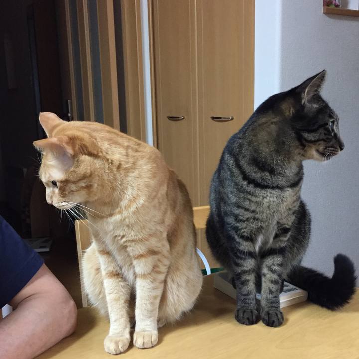 4174bd30 9efc 409a 96fb 47eecca3f78d