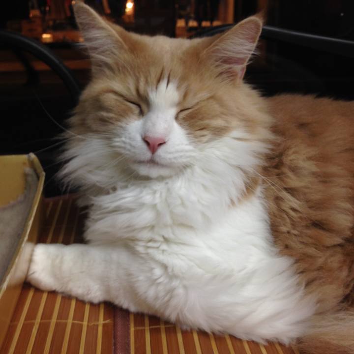 41752168 1e9f 443e b37d c3968b45e70a