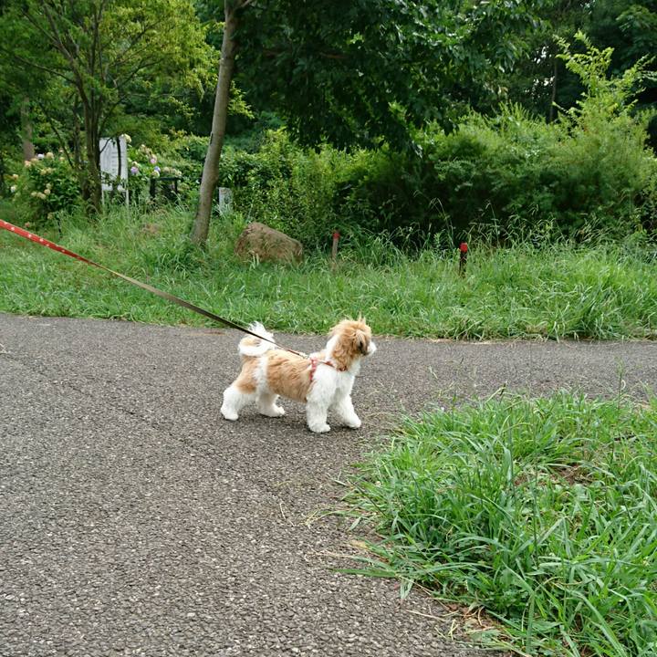 41762e57 f225 457e a56d b81e3056f434