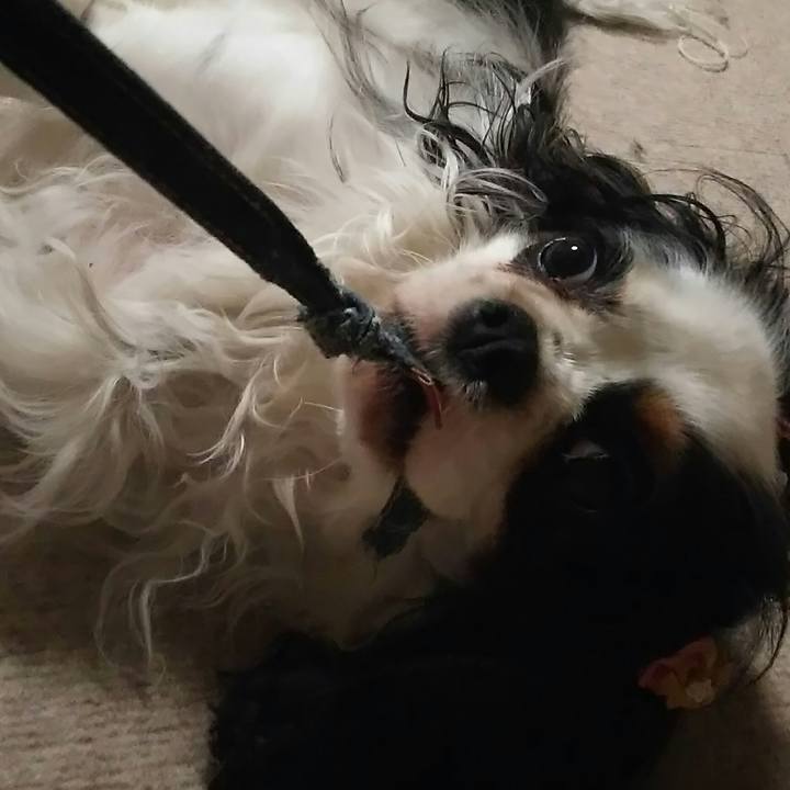 417663ab 6ad8 498e a8ae 79af378297de