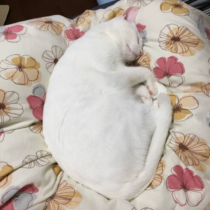 41766d9a 95be 434e a97d 9650f264f083