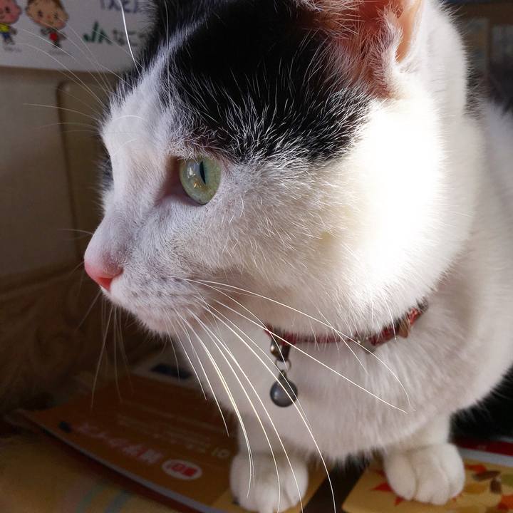 4176cc3f 3ef8 4bbd b423 14f2d72f68d5