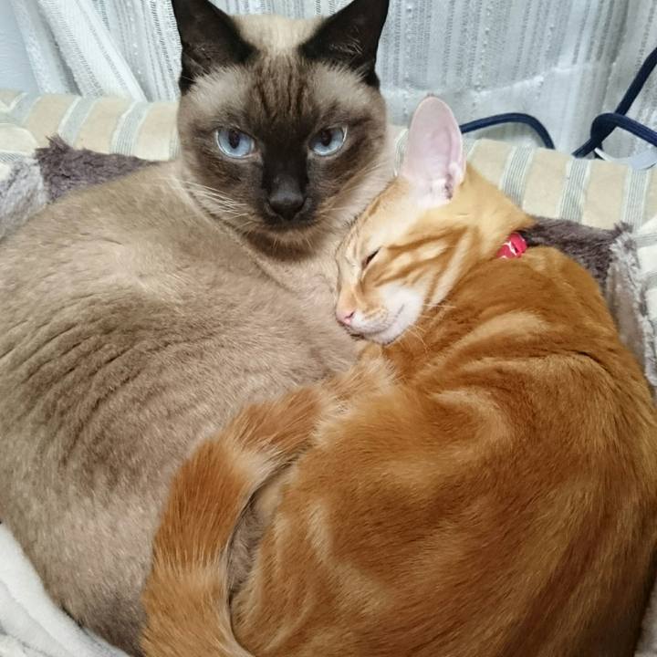 41771bd4 10cc 4147 bf3a 593426a3eebd