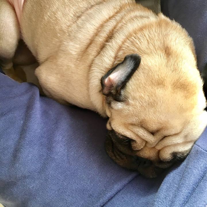 4177850f 126b 4b6f 8f8a ee9009d686e8