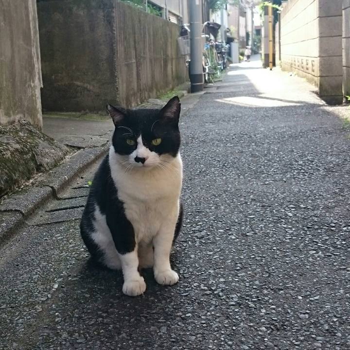 41780b36 5244 401f be79 4fde6f3450dc