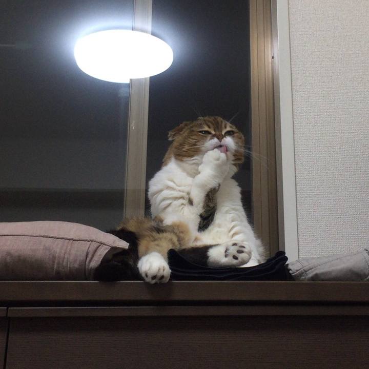 417975f8 2dce 43fc 82d6 4ae23c4c643a